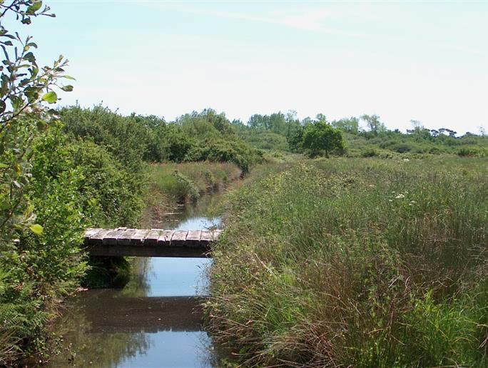 Naturschutzgebiet am Rande des Campingplatzes Kost-ar-Moor