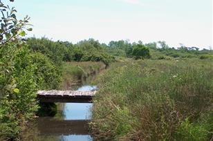 Naturschutzgebiet am Rande des Campingplatzes Kost-ar-Moor - Camping Kost Ar Moor - Fouesnant