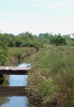 Naturschutzgebiet am Rande des Campingplatzes Kost-ar-Moor - Camping Kost Ar Moor - Fouesnant