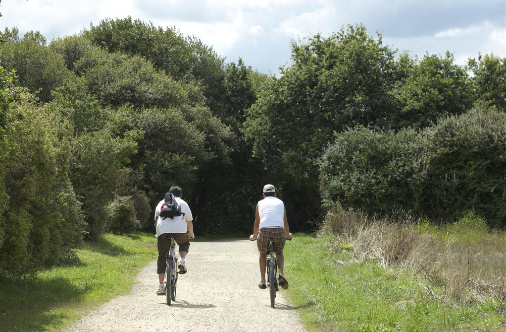 Auf dem Campingplatz kost-ar-moor entstanden 120 km Wanderwege