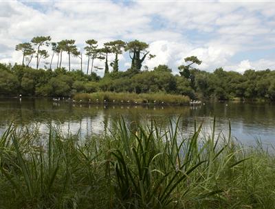 Naturschutzgebiet am Rande des Campingplatzes Kost-ar-Moor
