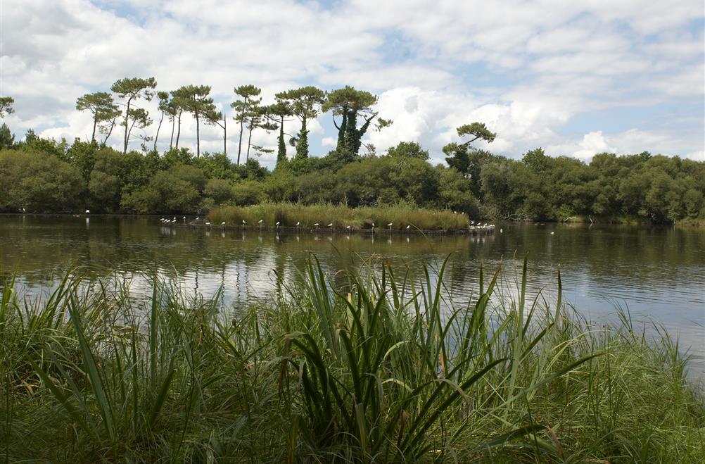 Naturschutzgebiet am Rande des Campingplatzes Kost-ar-Moor